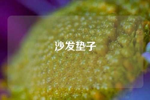 沙发垫子