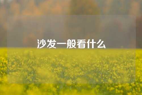 沙发一般看什么