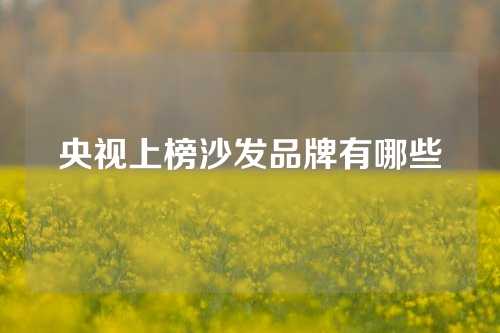 央视上榜沙发品牌有哪些