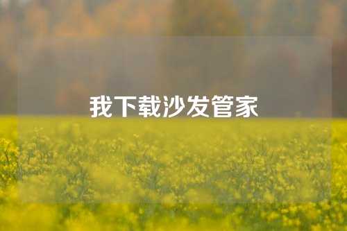 我下载沙发管家