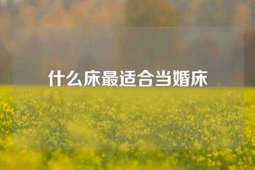 什么床最适合当婚床