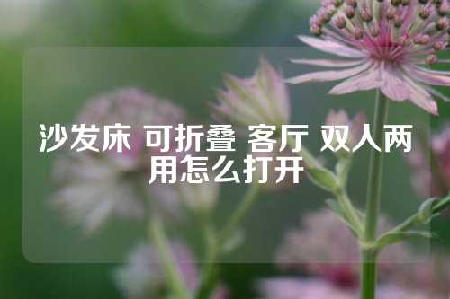 沙发床 可折叠 客厅 双人两用怎么打开