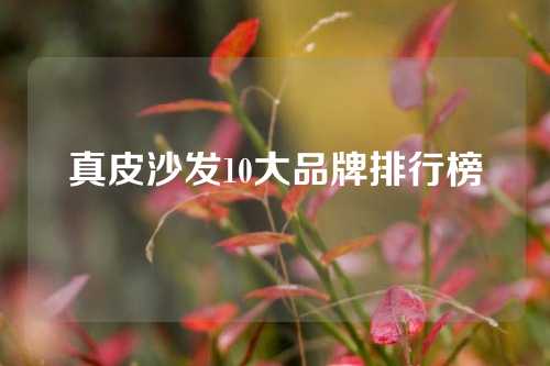 真皮沙发10大品牌排行榜
