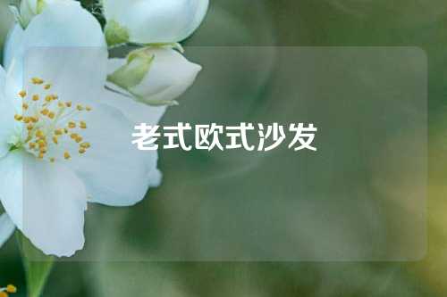 老式欧式沙发