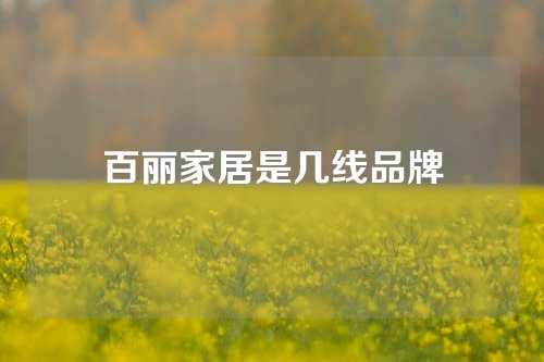 百丽家居是几线品牌