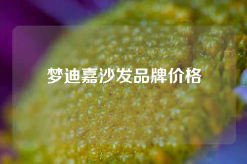 梦迪嘉沙发品牌价格