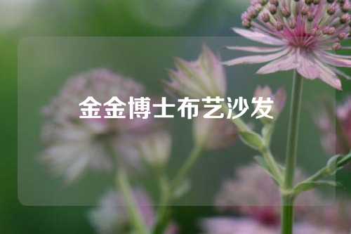 金金博士布艺沙发