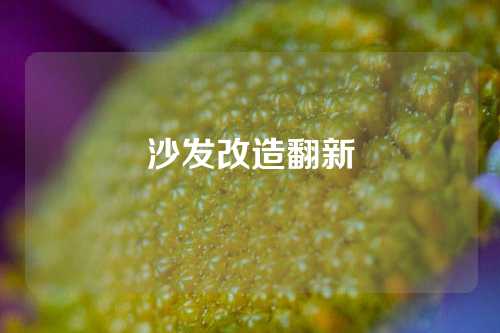 沙发改造翻新