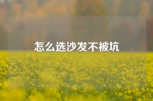 怎么选沙发不被坑