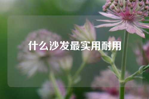 什么沙发最实用耐用
