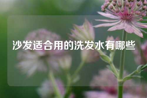 沙发适合用的洗发水有哪些