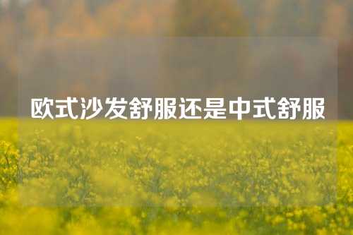 欧式沙发舒服还是中式舒服