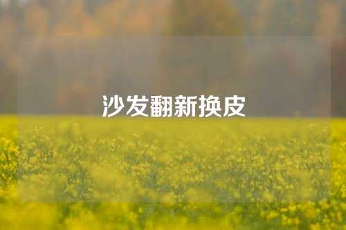 沙发翻新换皮