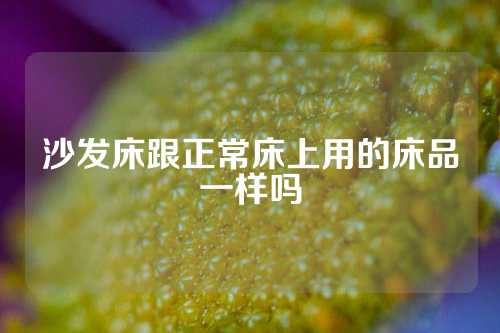 沙发床跟正常床上用的床品一样吗