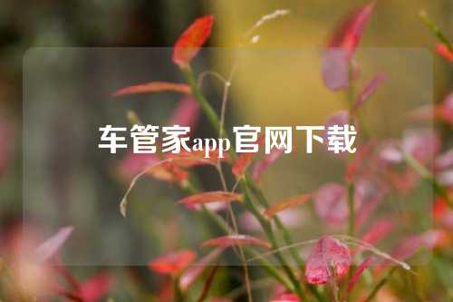 车管家app官网下载