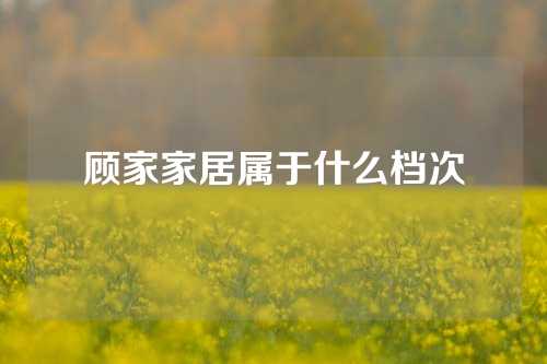 顾家家居属于什么档次