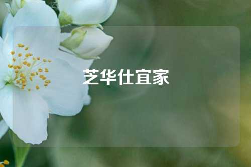 芝华仕宜家