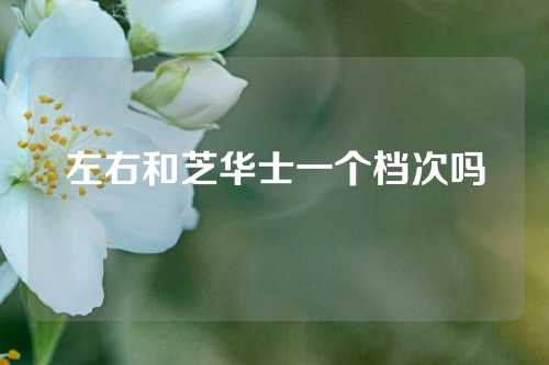 左右和芝华士一个档次吗