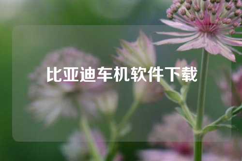 比亚迪车机软件下载