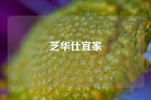 芝华仕宜家