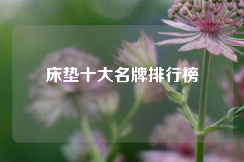 床垫十大名牌排行榜