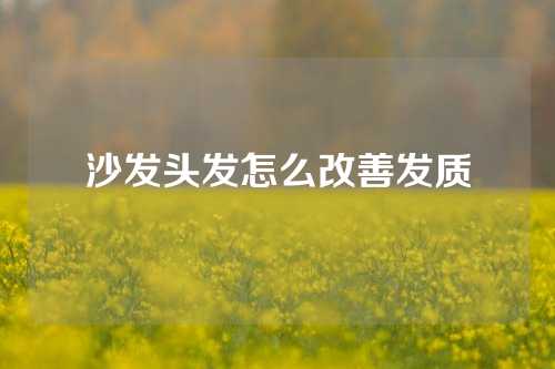 沙发头发怎么改善发质