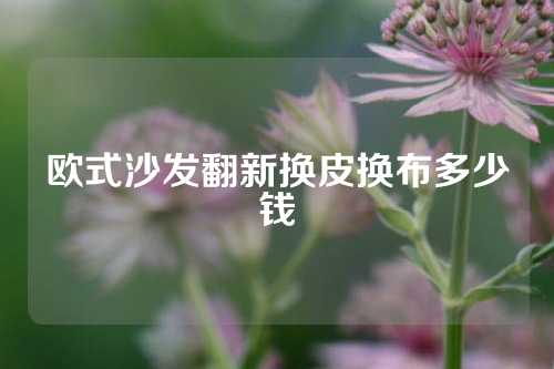 欧式沙发翻新换皮换布多少钱
