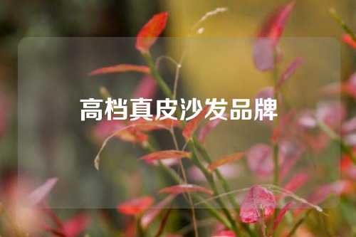 高档真皮沙发品牌