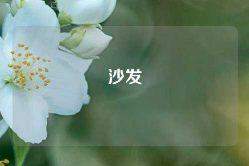 沙发