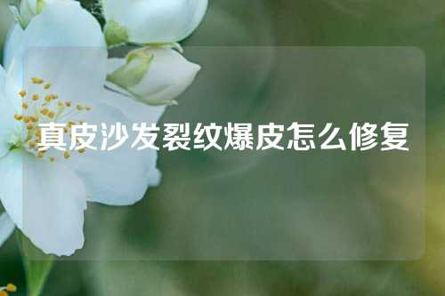 真皮沙发裂纹爆皮怎么修复