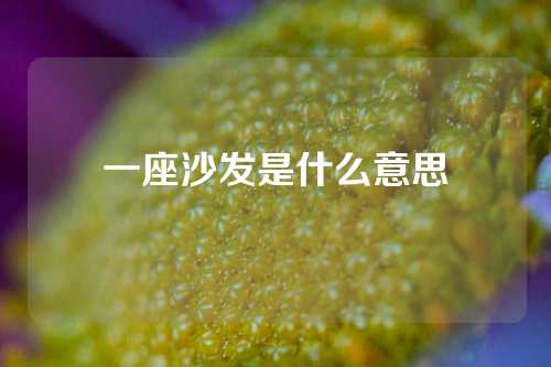 一座沙发是什么意思
