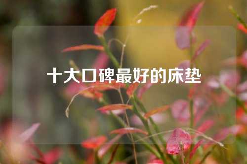 十大口碑最好的床垫