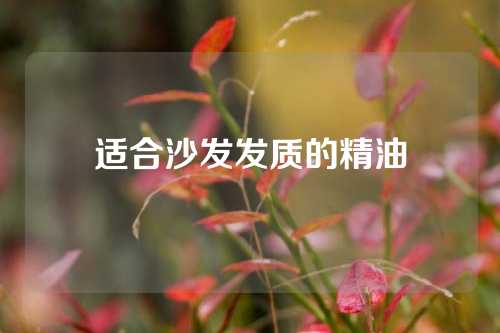 适合沙发发质的精油