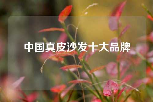 中国真皮沙发十大品牌