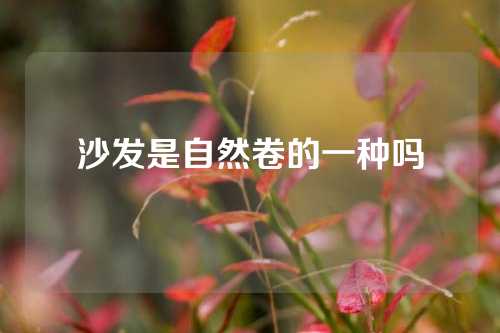 沙发是自然卷的一种吗