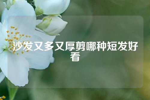 沙发又多又厚剪哪种短发好看