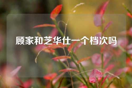 顾家和芝华仕一个档次吗