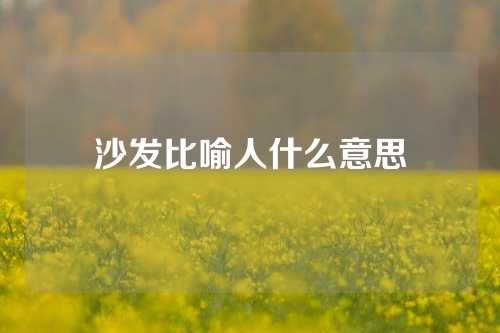 沙发比喻人什么意思