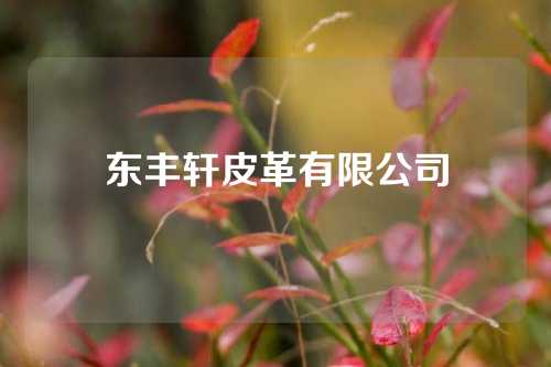 东丰轩皮革有限公司