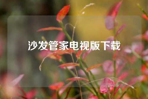 沙发管家电视版下载
