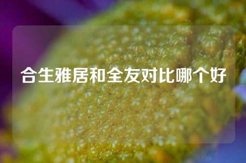 合生雅居和全友对比哪个好