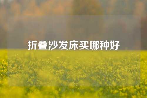 折叠沙发床买哪种好