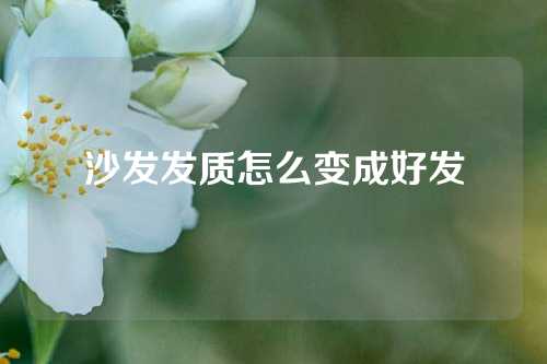 沙发发质怎么变成好发
