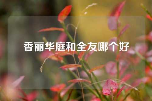 香丽华庭和全友哪个好