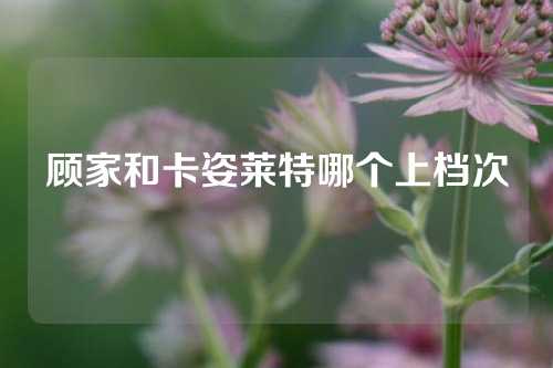 顾家和卡姿莱特哪个上档次
