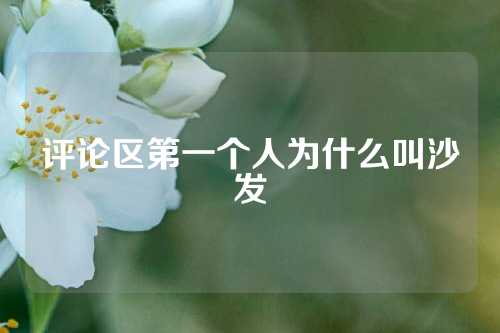 评论区第一个人为什么叫沙发