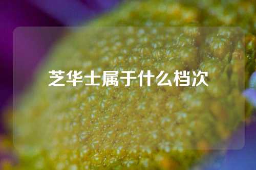 芝华士属于什么档次