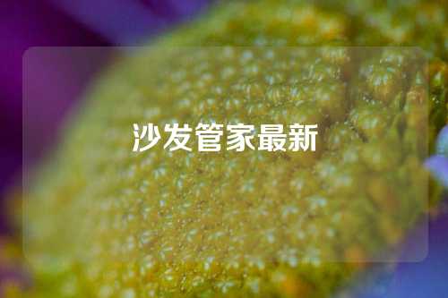 沙发管家最新