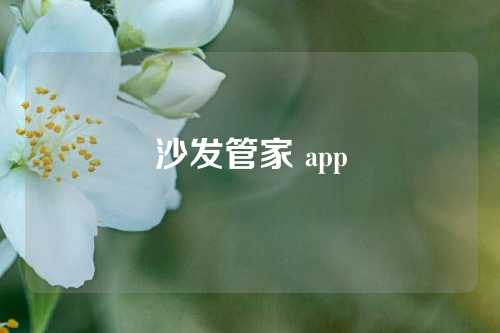 沙发管家 app