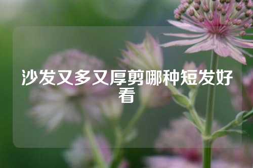 沙发又多又厚剪哪种短发好看